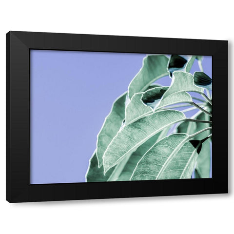 Clear Leaves on Blue I Black Modern Wood Framed Art Print with Double Matting by Bane, Eva