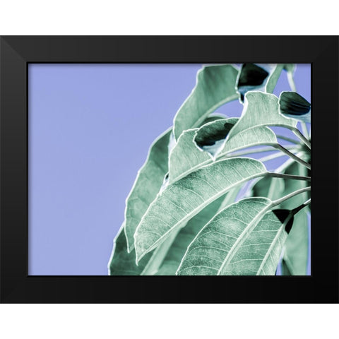 Clear Leaves on Blue I Black Modern Wood Framed Art Print by Bane, Eva