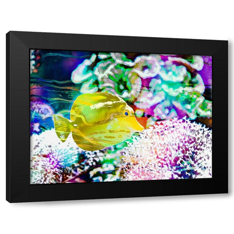 Vibrant Reef II Black Modern Wood Framed Art Print with Double Matting by Bane, Eva