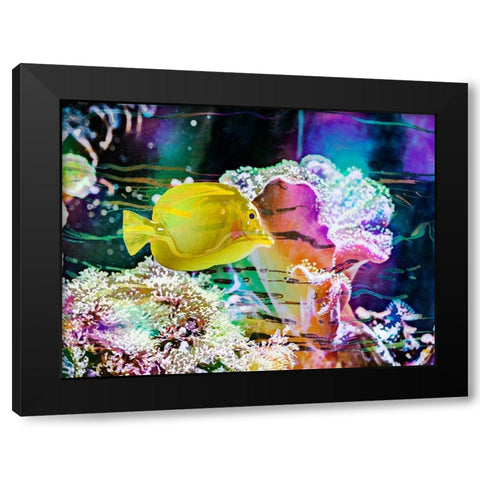 Vibrant Reef IV Black Modern Wood Framed Art Print with Double Matting by Bane, Eva