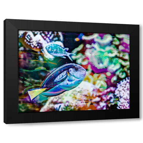 Vibrant Reef V Black Modern Wood Framed Art Print with Double Matting by Bane, Eva