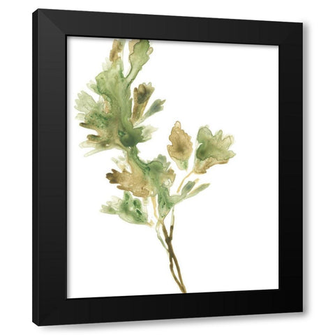 Earthtone Herbs I Black Modern Wood Framed Art Print with Double Matting by Vess, June Erica