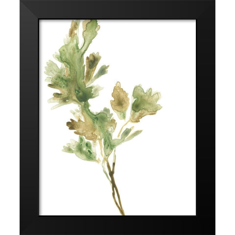 Earthtone Herbs I Black Modern Wood Framed Art Print by Vess, June Erica