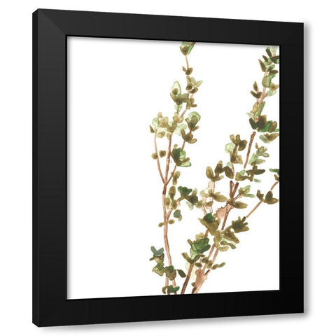 Earthtone Herbs II Black Modern Wood Framed Art Print by Vess, June Erica