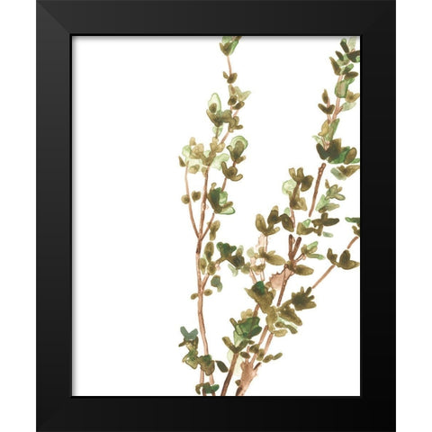 Earthtone Herbs II Black Modern Wood Framed Art Print by Vess, June Erica