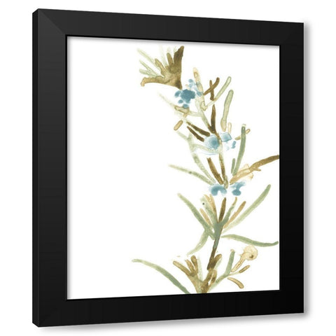 Earthtone Herbs III Black Modern Wood Framed Art Print by Vess, June Erica