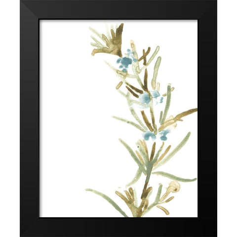 Earthtone Herbs III Black Modern Wood Framed Art Print by Vess, June Erica