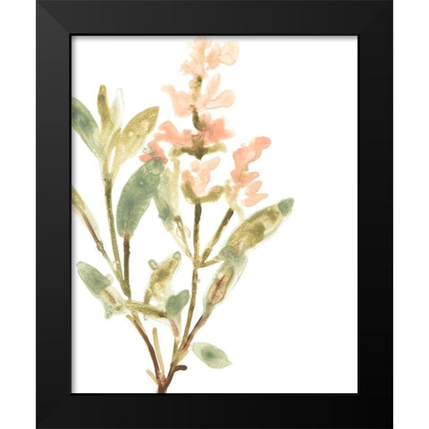Earthtone Herbs IV Black Modern Wood Framed Art Print by Vess, June Erica