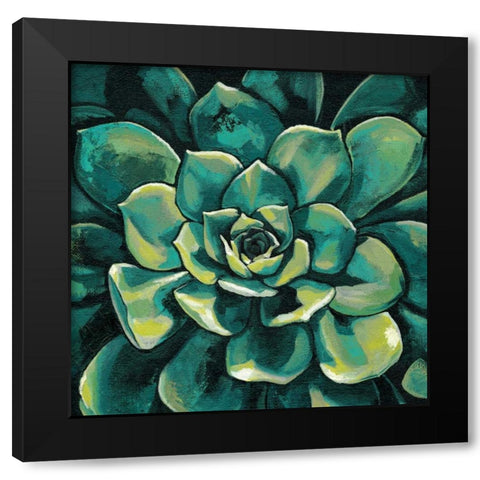 Succulent Bloom I Black Modern Wood Framed Art Print by Meagher, Megan