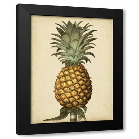 Brookshaw Antique Pineapple I Black Modern Wood Framed Art Print with Double Matting by Brookshaw, George