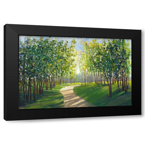 Walking Trail I Black Modern Wood Framed Art Print with Double Matting by OToole, Tim