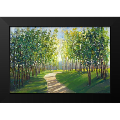 Walking Trail I Black Modern Wood Framed Art Print by OToole, Tim