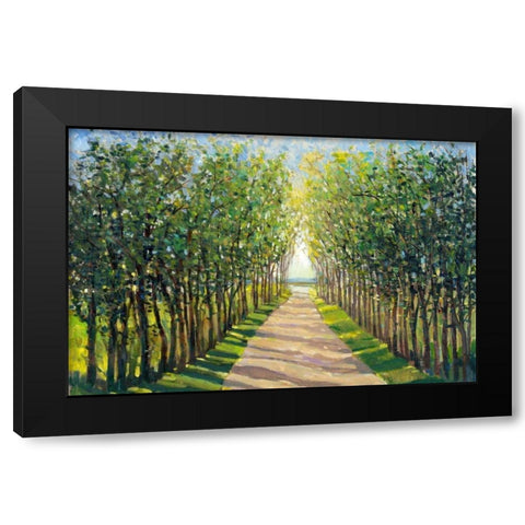 Walking Trail II Black Modern Wood Framed Art Print with Double Matting by OToole, Tim