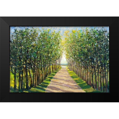 Walking Trail II Black Modern Wood Framed Art Print by OToole, Tim