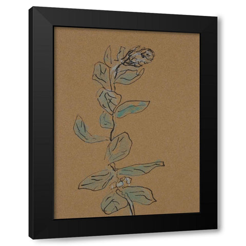 Little Plants of Big Sur XIV Black Modern Wood Framed Art Print with Double Matting by Delamater, Rob