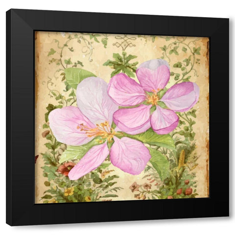 Vintage Apple Blossom I Black Modern Wood Framed Art Print by Mark, Leslie