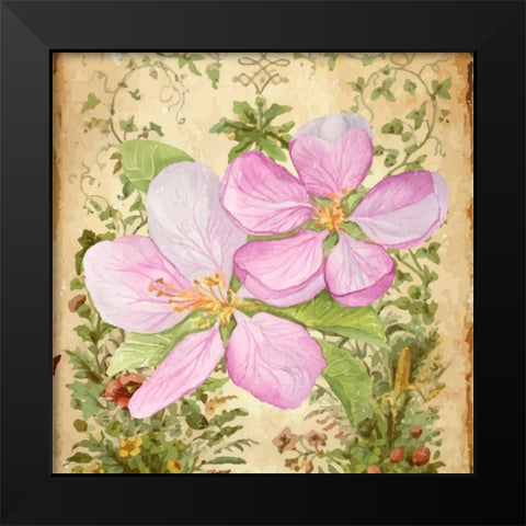 Vintage Apple Blossom I Black Modern Wood Framed Art Print by Mark, Leslie