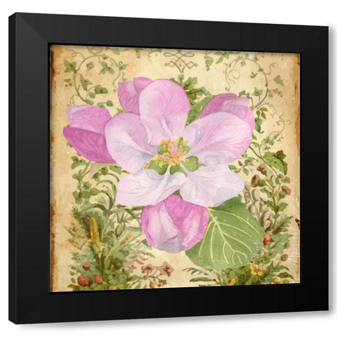 Vintage Apple Blossom II Black Modern Wood Framed Art Print with Double Matting by Mark, Leslie