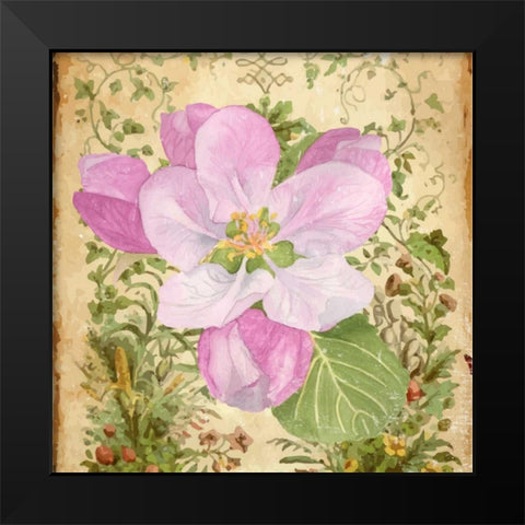 Vintage Apple Blossom II Black Modern Wood Framed Art Print by Mark, Leslie