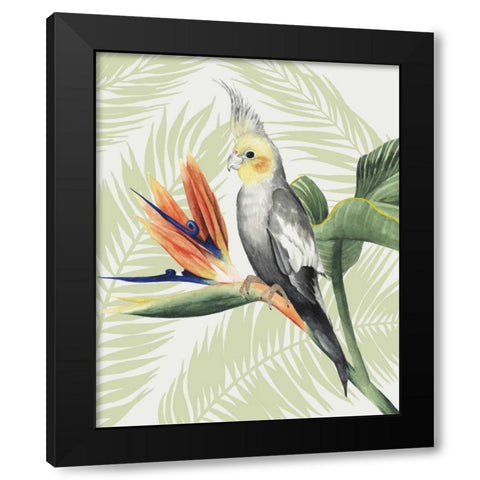 Avian Paradise I Black Modern Wood Framed Art Print by Popp, Grace