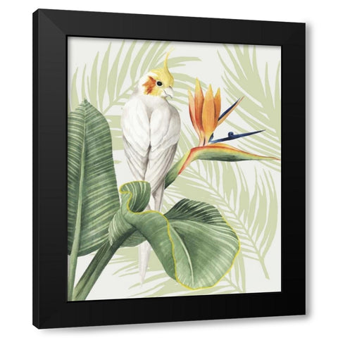 Avian Paradise II Black Modern Wood Framed Art Print by Popp, Grace