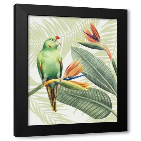 Avian Paradise IV Black Modern Wood Framed Art Print by Popp, Grace