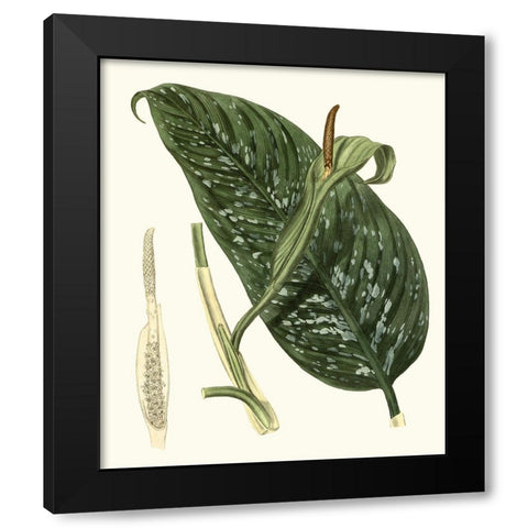 Grand Foliage I Black Modern Wood Framed Art Print with Double Matting by Vision Studio