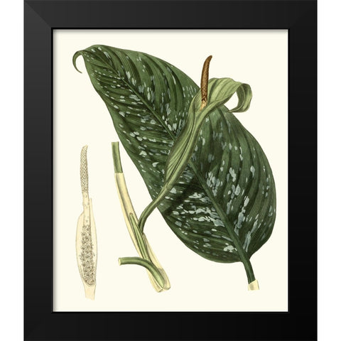 Grand Foliage I Black Modern Wood Framed Art Print by Vision Studio