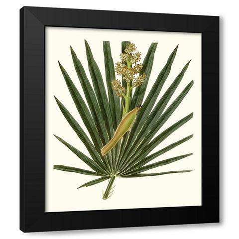 Grand Foliage II Black Modern Wood Framed Art Print with Double Matting by Vision Studio