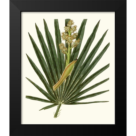 Grand Foliage II Black Modern Wood Framed Art Print by Vision Studio