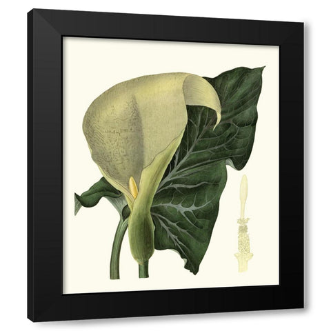 Grand Foliage III Black Modern Wood Framed Art Print with Double Matting by Vision Studio