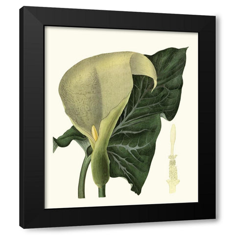 Grand Foliage III Black Modern Wood Framed Art Print by Vision Studio