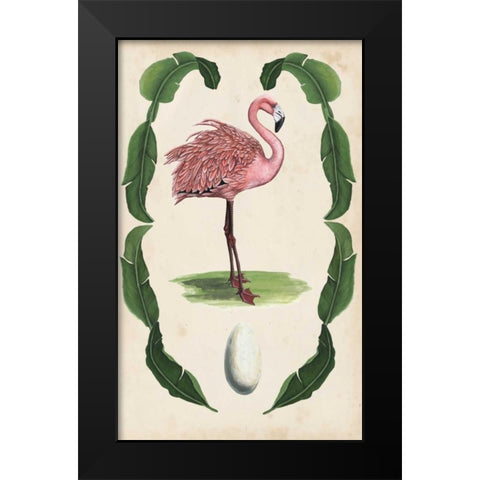 Antiquarian Menagerie - Flamingo I Black Modern Wood Framed Art Print by McCavitt, Naomi
