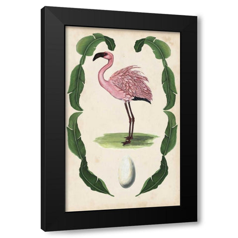 Antiquarian Menagerie - Flamingo II Black Modern Wood Framed Art Print by McCavitt, Naomi