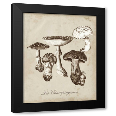 Les Champignons I Black Modern Wood Framed Art Print with Double Matting by McCavitt, Naomi