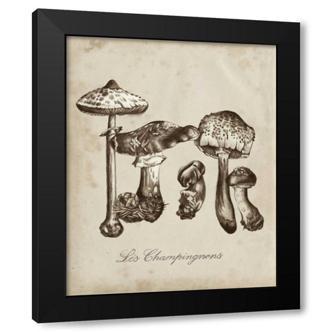 Les Champignons II Black Modern Wood Framed Art Print with Double Matting by McCavitt, Naomi