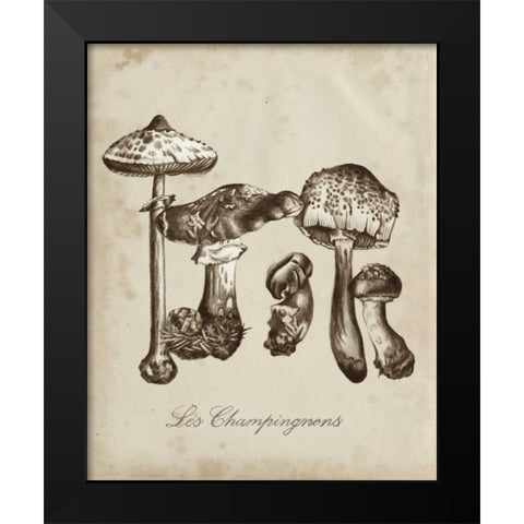 Les Champignons II Black Modern Wood Framed Art Print by McCavitt, Naomi