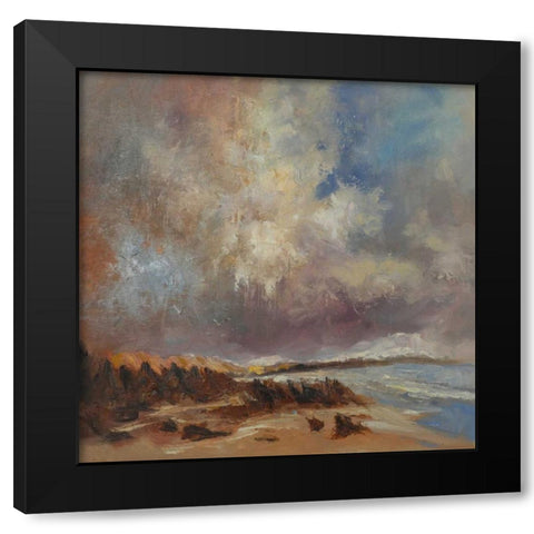 Rocky Shore Black Modern Wood Framed Art Print by Doyle, Anne Farrall