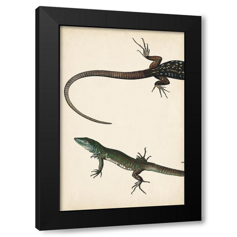 Lizard Diptych I Black Modern Wood Framed Art Print with Double Matting by Vision Studio