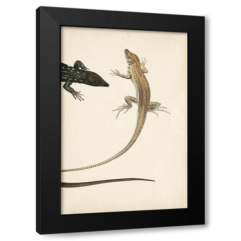 Lizard Diptych II Black Modern Wood Framed Art Print with Double Matting by Vision Studio