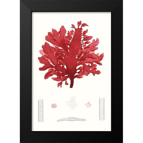 Striking Seaweed I Black Modern Wood Framed Art Print by Vision Studio