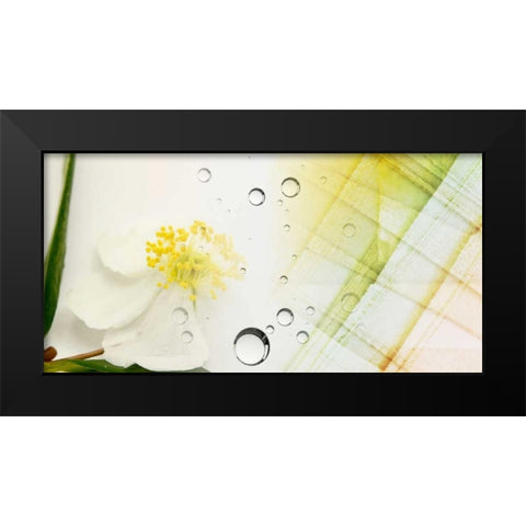 Serene Photo Collage I Black Modern Wood Framed Art Print by Orlov, Irena