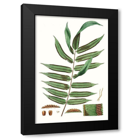 Fern Foliage I Black Modern Wood Framed Art Print by Vision Studio