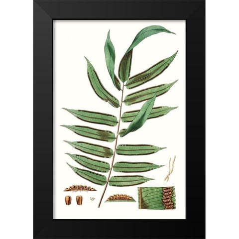 Fern Foliage I Black Modern Wood Framed Art Print by Vision Studio