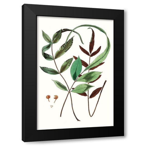 Fern Foliage II Black Modern Wood Framed Art Print by Vision Studio