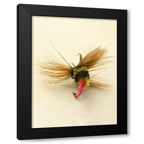 Custom Macro Lures IV (ASH) Black Modern Wood Framed Art Print by Stalus, Judy