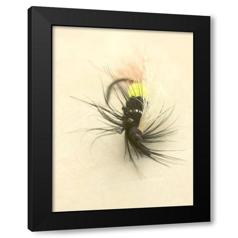 Custom Macro Lures VII (ASH) Black Modern Wood Framed Art Print by Stalus, Judy