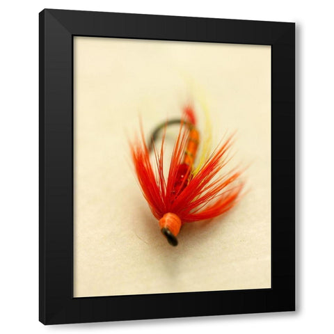 Custom Macro Lures VIII (ASH) Black Modern Wood Framed Art Print with Double Matting by Stalus, Judy