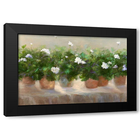 White Geraniums Black Modern Wood Framed Art Print by Finch, Sheila
