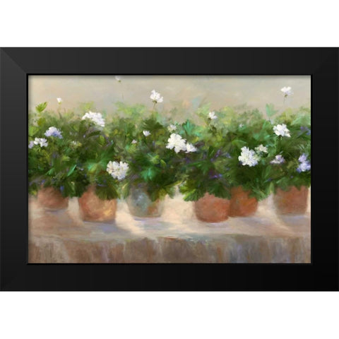 White Geraniums Black Modern Wood Framed Art Print by Finch, Sheila